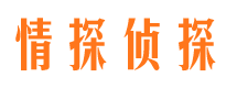 志丹侦探公司